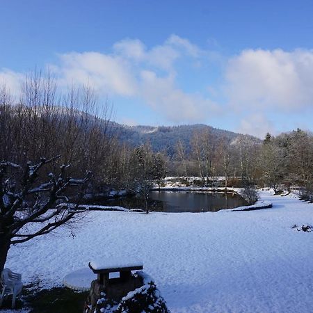 La Maison Et L'Etang - Grand Terrain Prive Vagney Eksteriør bilde
