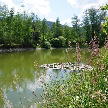 La Maison Et L'Etang - Grand Terrain Prive Vagney Eksteriør bilde
