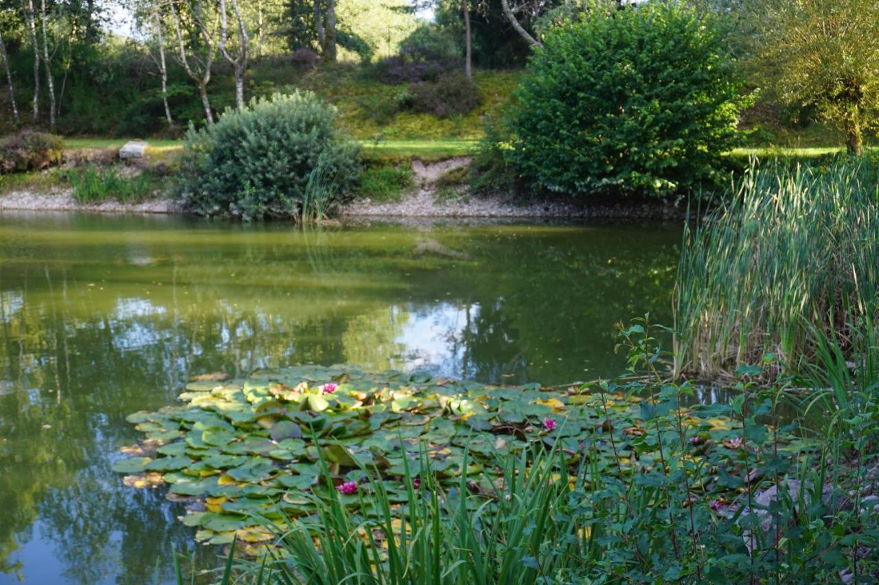 La Maison Et L'Etang - Grand Terrain Prive Vagney Eksteriør bilde
