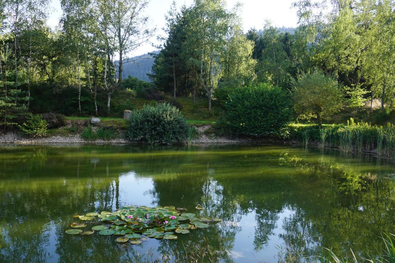 La Maison Et L'Etang - Grand Terrain Prive Vagney Eksteriør bilde