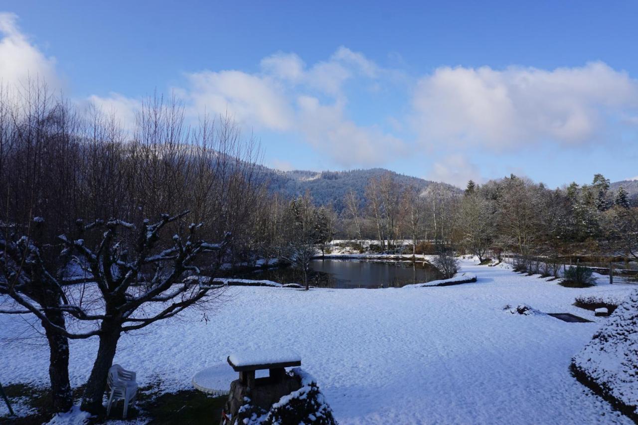 La Maison Et L'Etang - Grand Terrain Prive Vagney Eksteriør bilde
